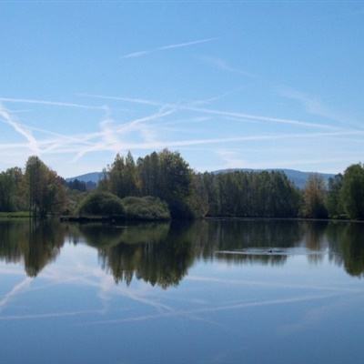 亚博体育(中国)官方网站截图